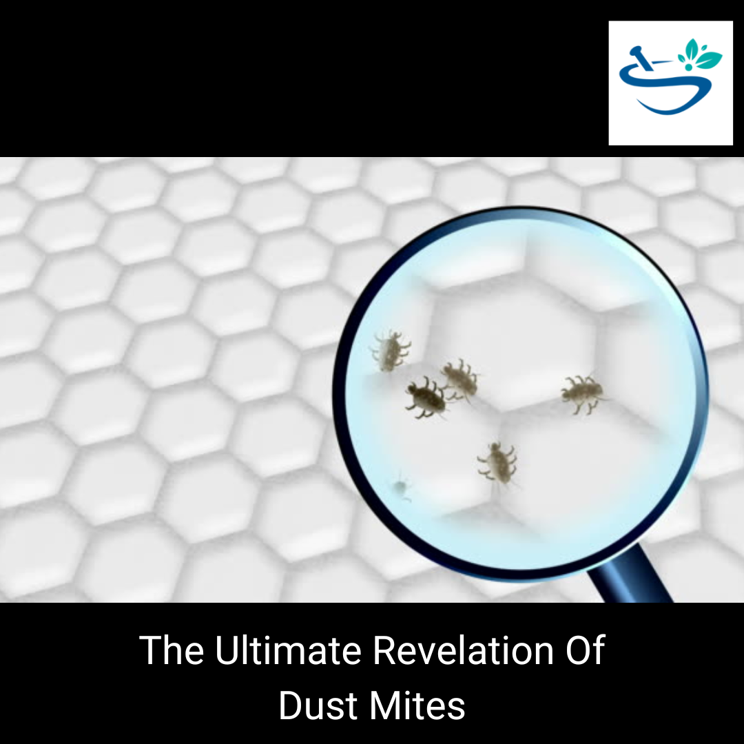 The Ultimate Revelation Of Dust Mites