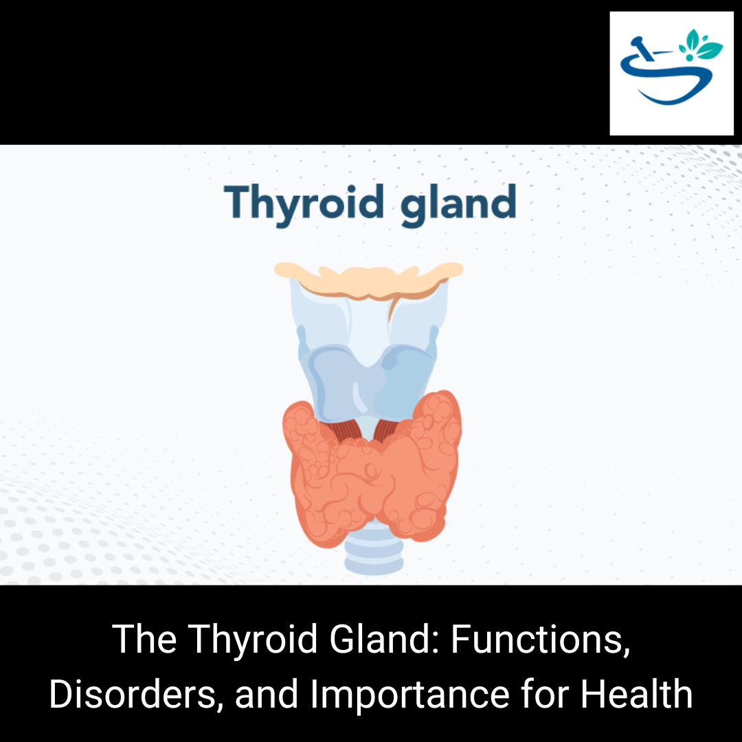 Understanding the Thyroid Gland: Functions, Disorders, and Treatment Options
