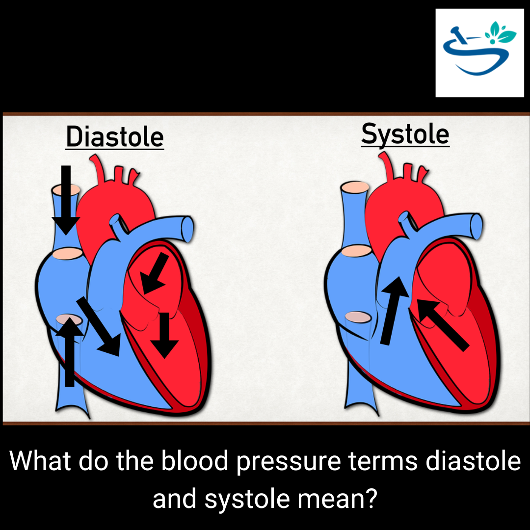Diastole: The Relaxation Phase of the Cardiac Cycle